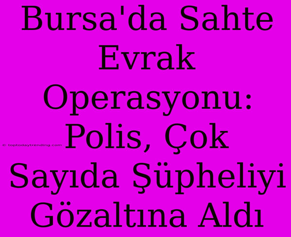 Bursa'da Sahte Evrak Operasyonu: Polis, Çok Sayıda Şüpheliyi Gözaltına Aldı