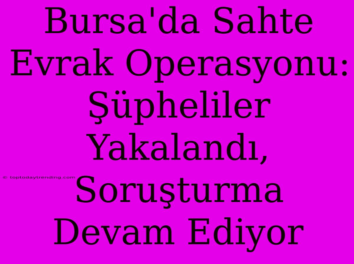 Bursa'da Sahte Evrak Operasyonu: Şüpheliler Yakalandı, Soruşturma Devam Ediyor