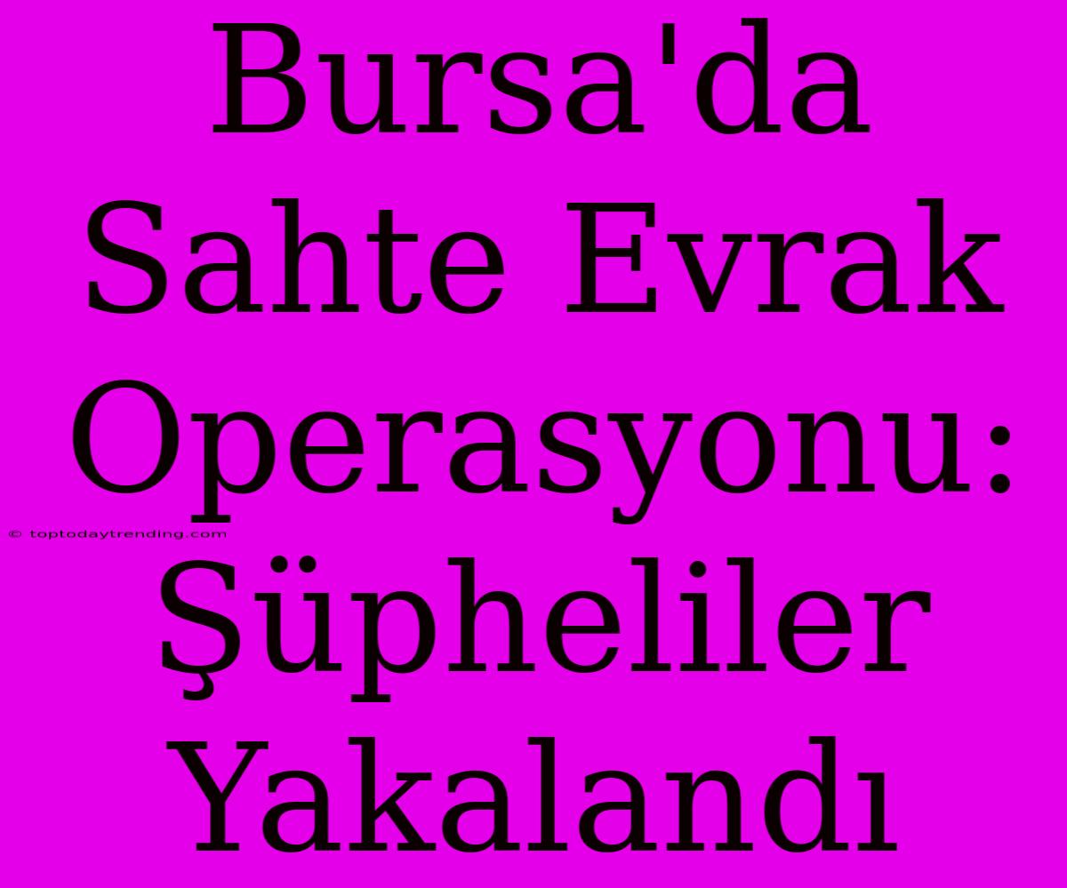 Bursa'da Sahte Evrak Operasyonu: Şüpheliler Yakalandı