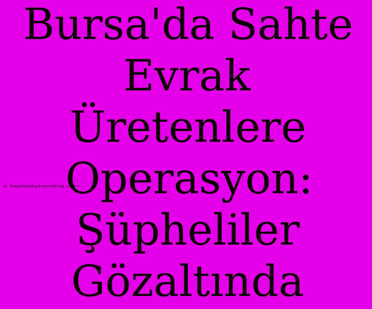 Bursa'da Sahte Evrak Üretenlere Operasyon: Şüpheliler Gözaltında