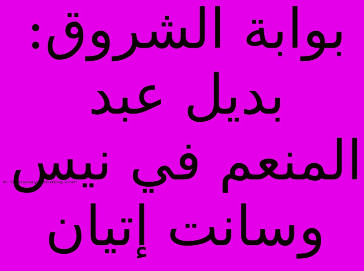 بوابة الشروق: بديل عبد المنعم في نيس وسانت إتيان