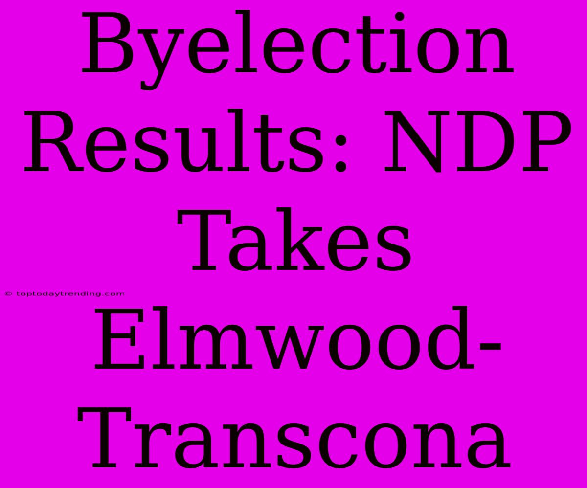 Byelection Results: NDP Takes Elmwood-Transcona