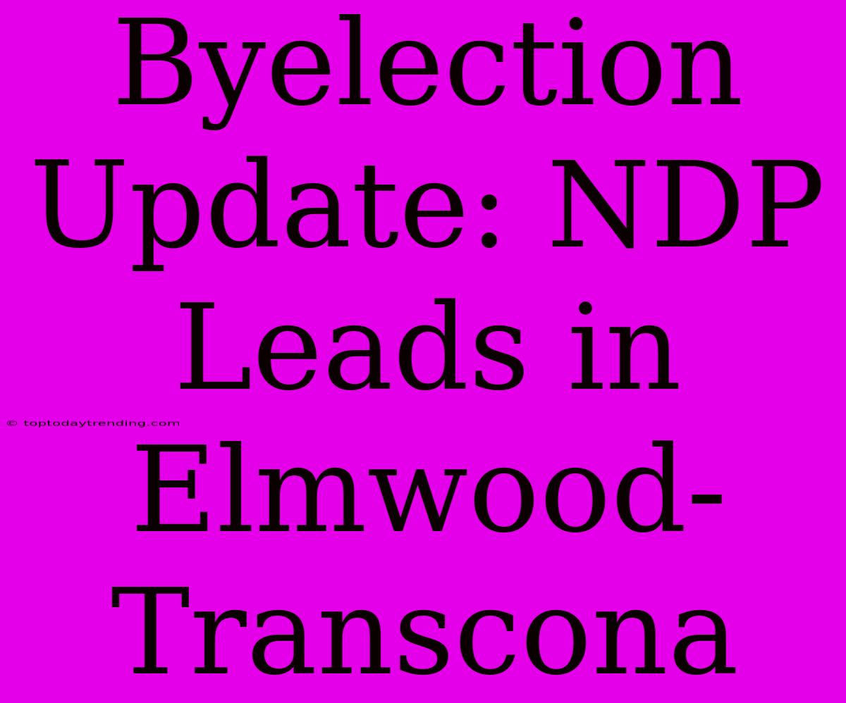 Byelection Update: NDP Leads In Elmwood-Transcona