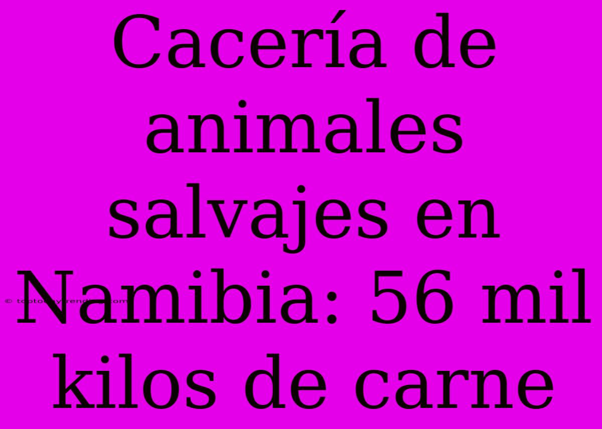 Cacería De Animales Salvajes En Namibia: 56 Mil Kilos De Carne