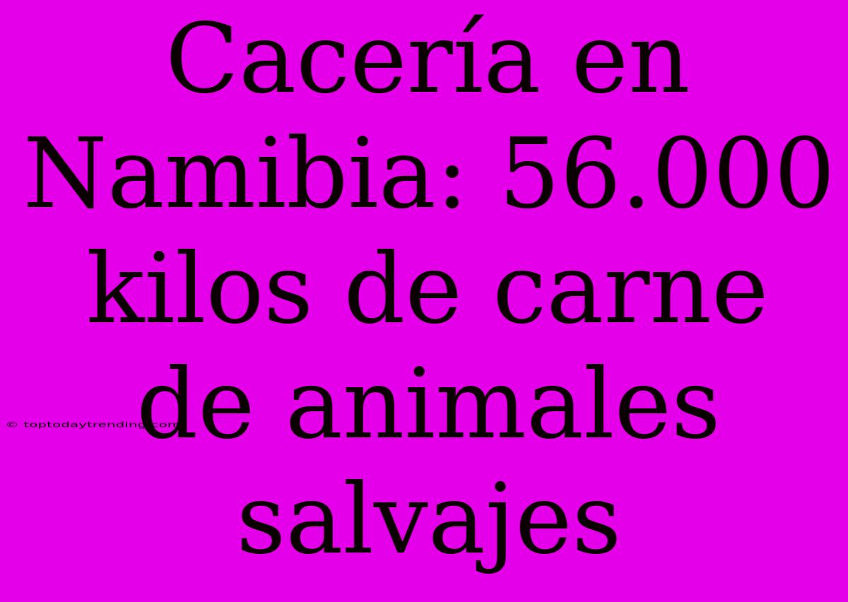 Cacería En Namibia: 56.000 Kilos De Carne De Animales Salvajes