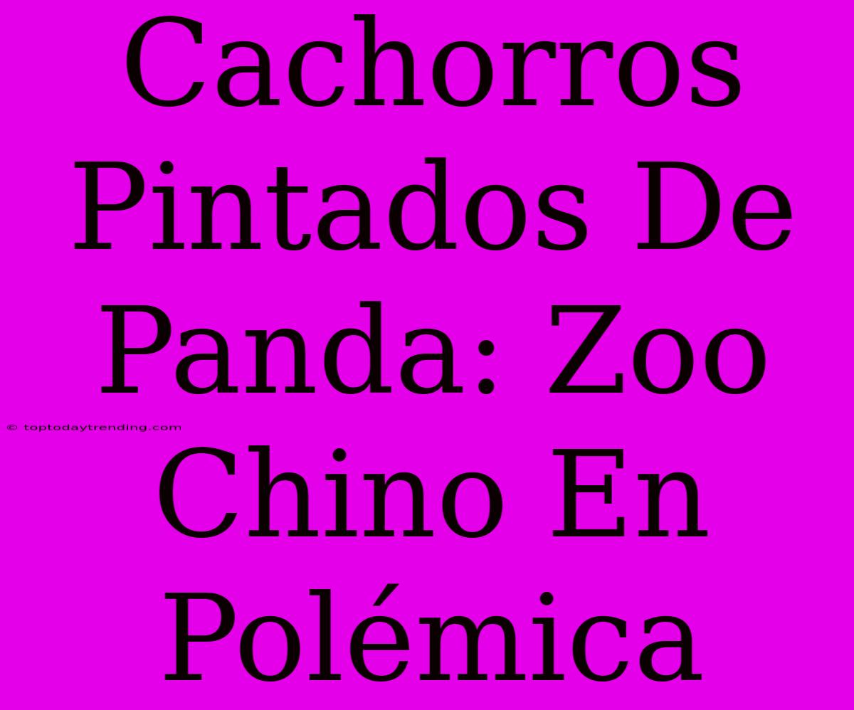 Cachorros Pintados De Panda: Zoo Chino En Polémica