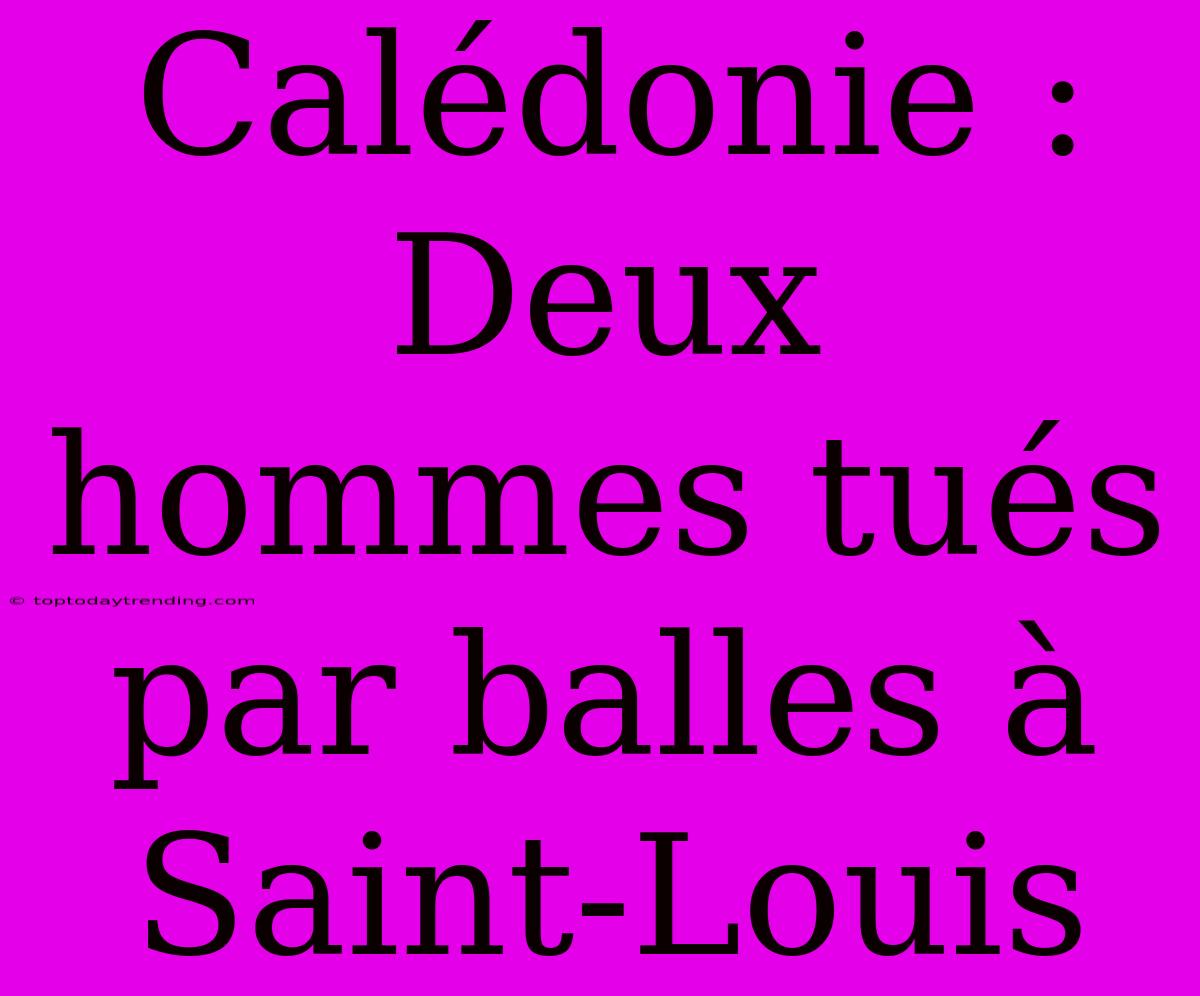 Calédonie : Deux Hommes Tués Par Balles À Saint-Louis