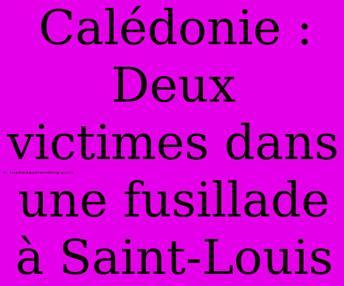 Calédonie : Deux Victimes Dans Une Fusillade À Saint-Louis