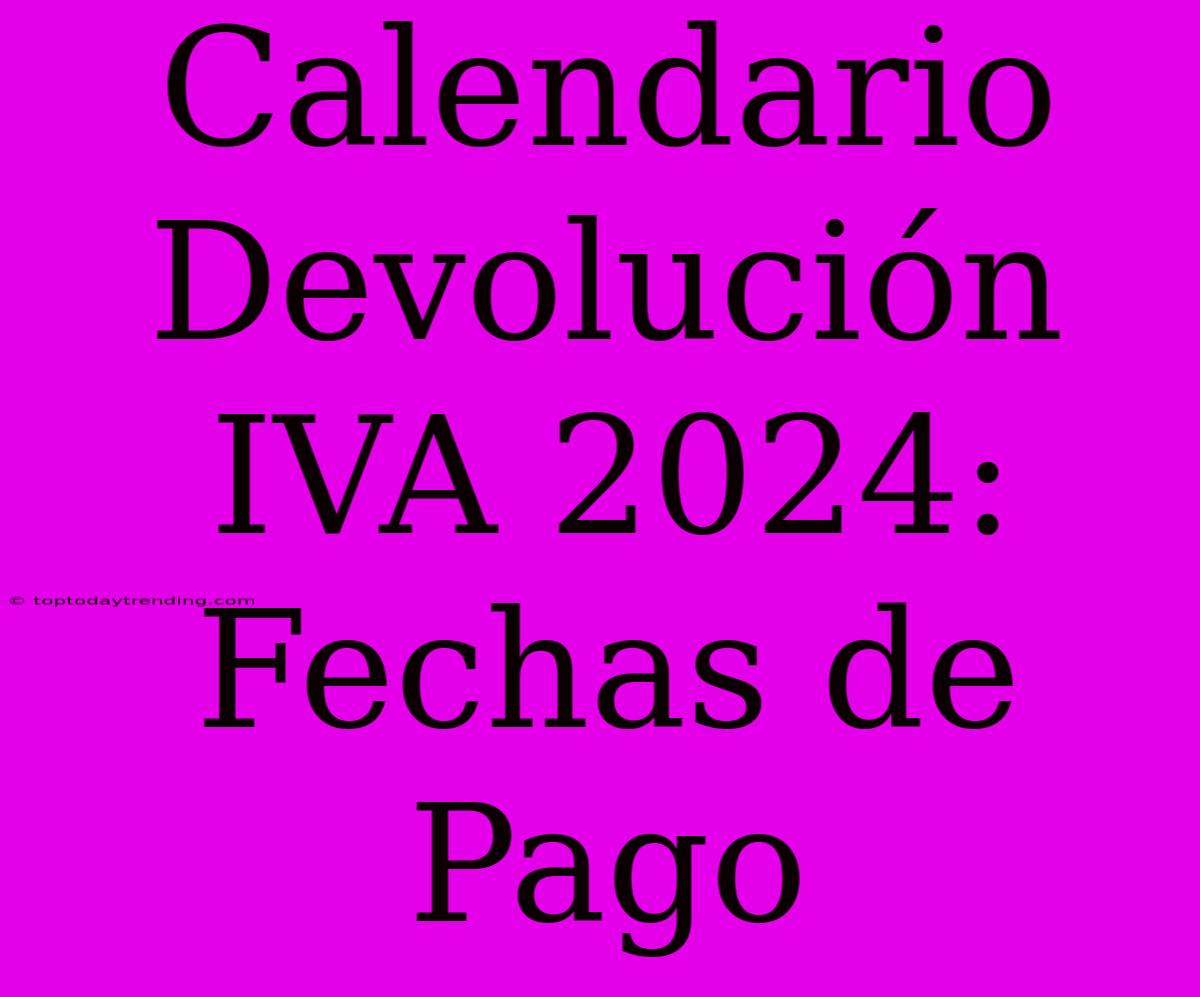 Calendario Devolución IVA 2024: Fechas De Pago