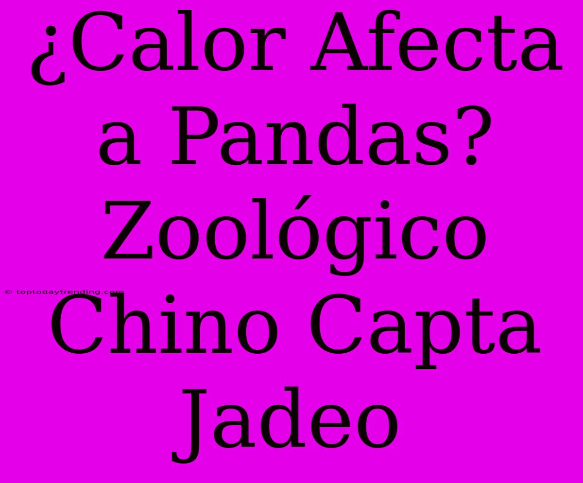 ¿Calor Afecta A Pandas? Zoológico Chino Capta Jadeo