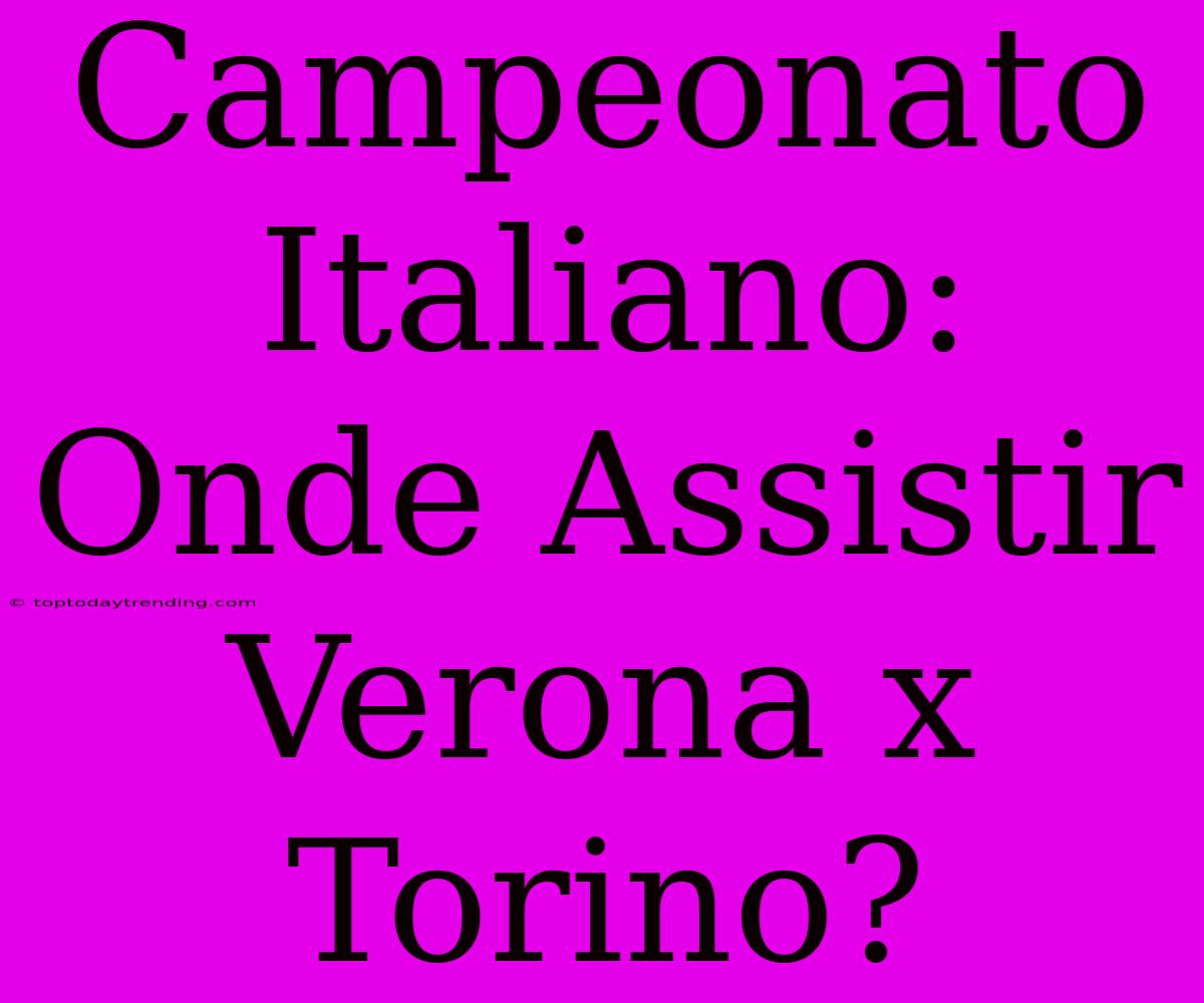 Campeonato Italiano: Onde Assistir Verona X Torino?