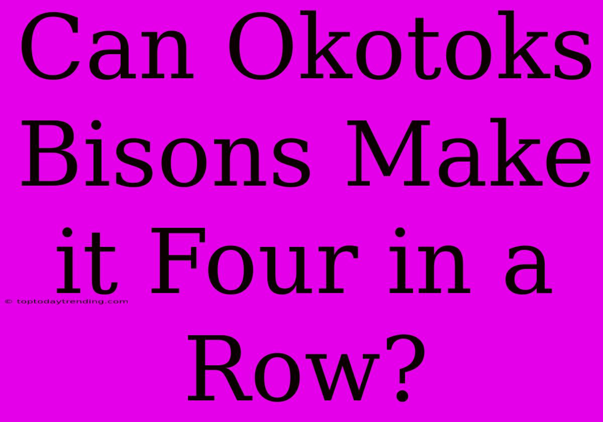 Can Okotoks Bisons Make It Four In A Row?