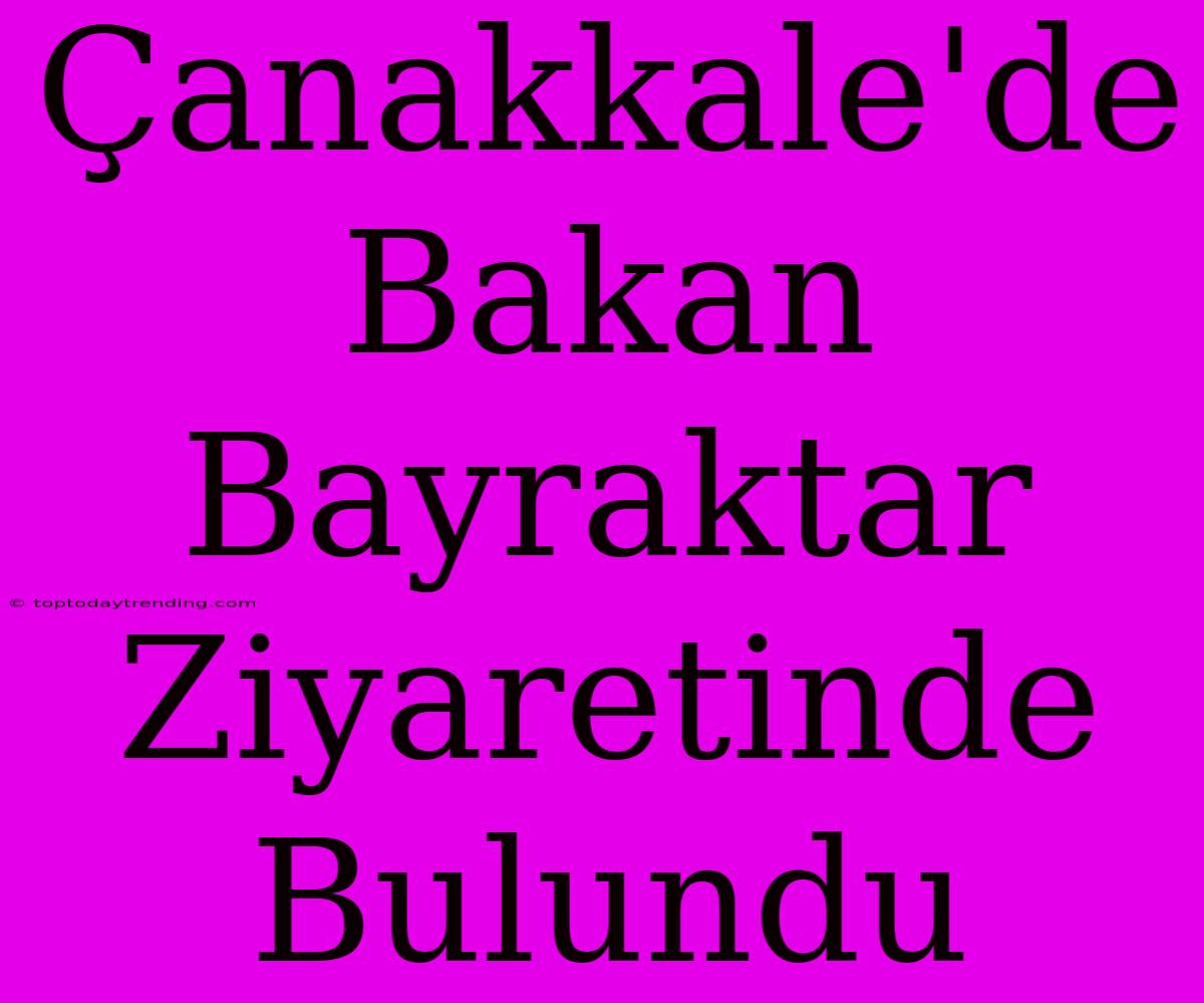 Çanakkale'de Bakan Bayraktar Ziyaretinde Bulundu