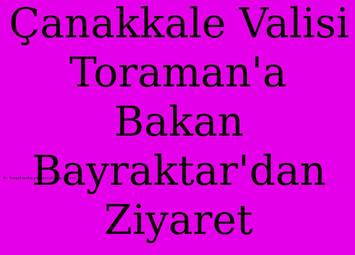 Çanakkale Valisi Toraman'a Bakan Bayraktar'dan Ziyaret