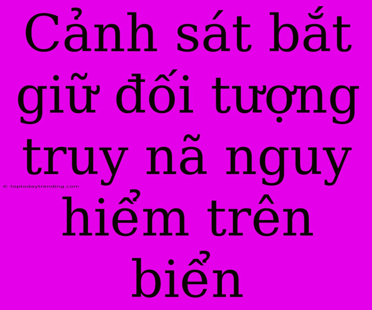 Cảnh Sát Bắt Giữ Đối Tượng Truy Nã Nguy Hiểm Trên Biển