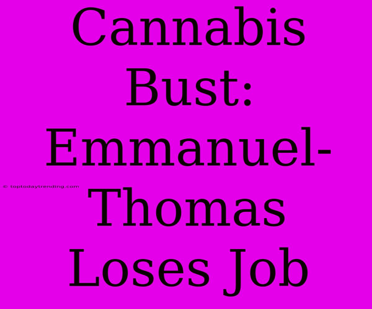 Cannabis Bust: Emmanuel-Thomas Loses Job