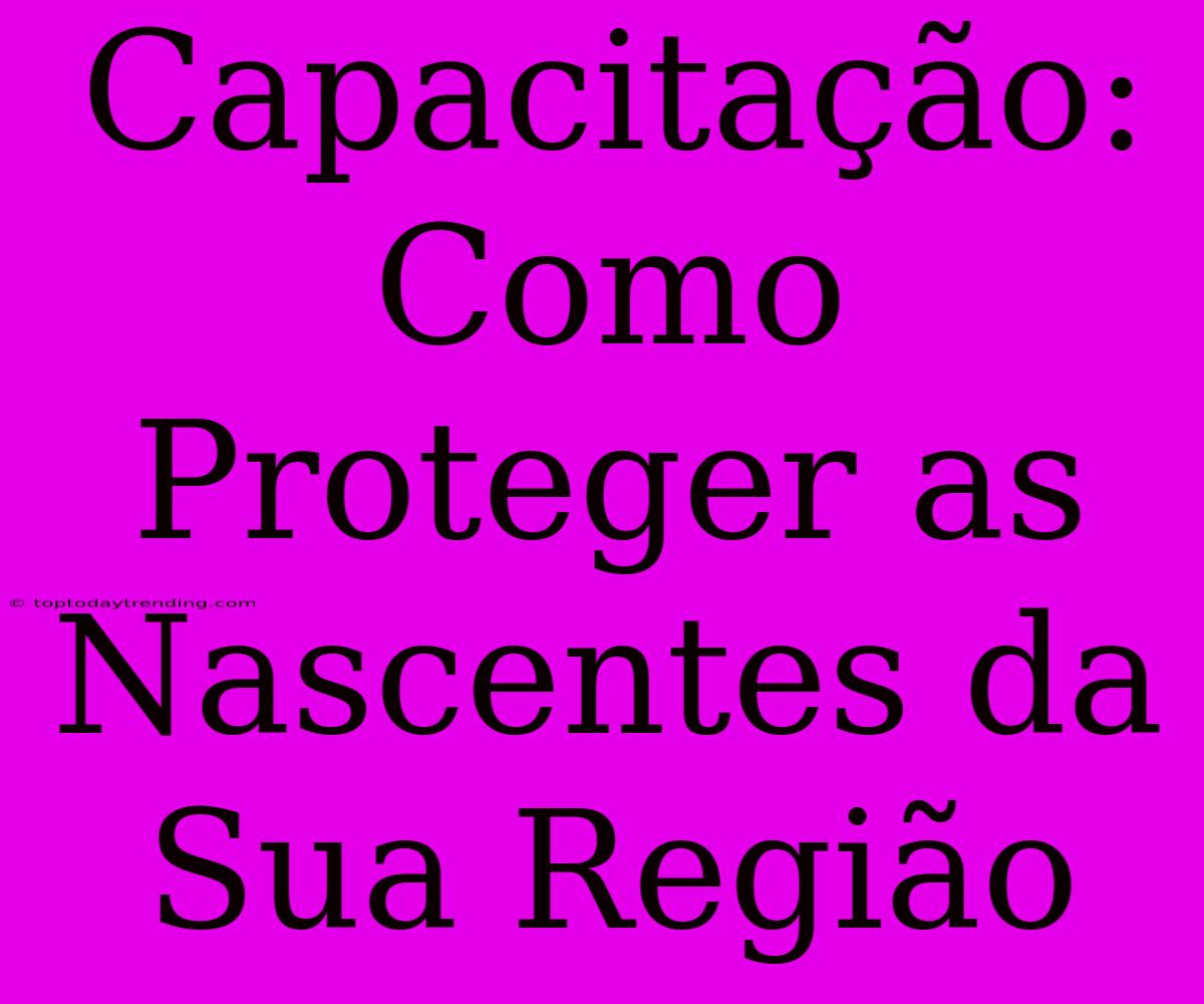 Capacitação: Como Proteger As Nascentes Da Sua Região