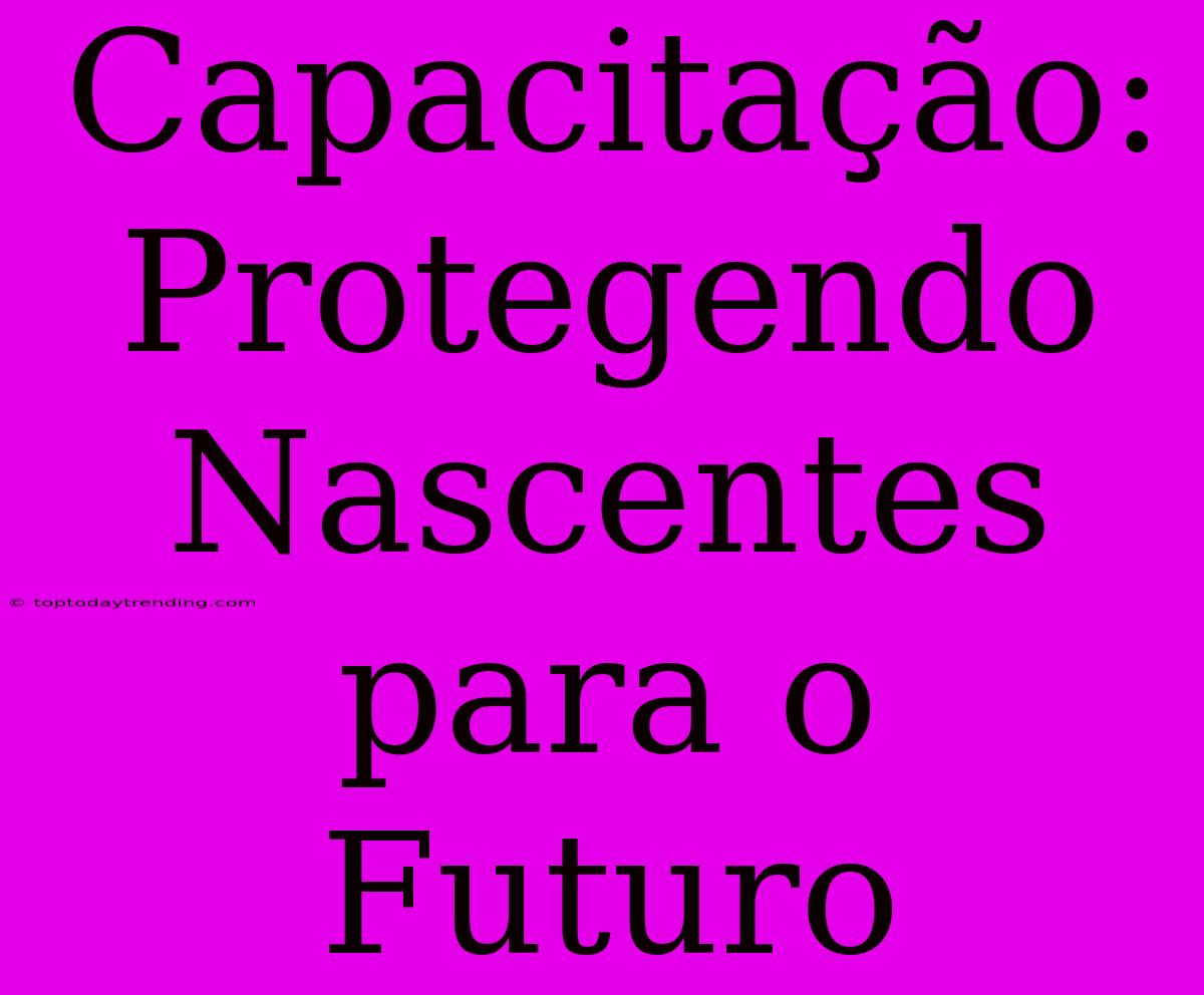 Capacitação: Protegendo Nascentes Para O Futuro