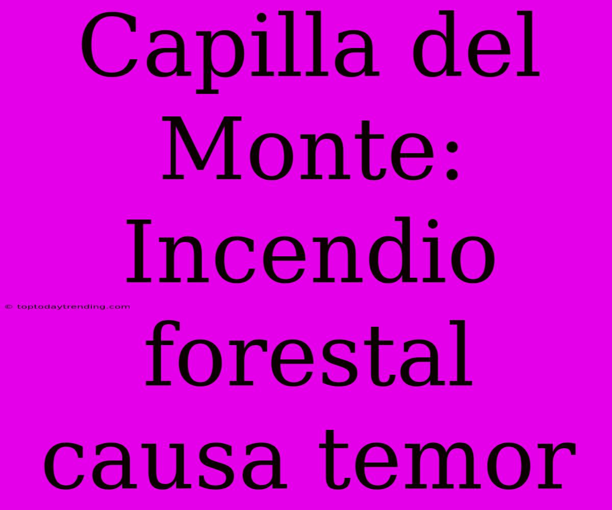 Capilla Del Monte: Incendio Forestal Causa Temor