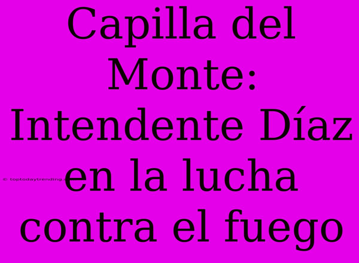 Capilla Del Monte: Intendente Díaz En La Lucha Contra El Fuego