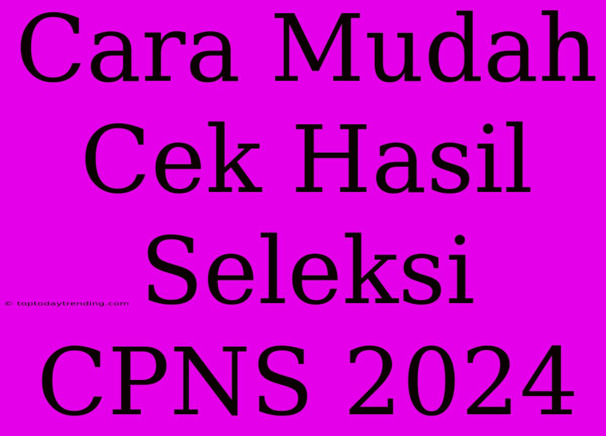 Cara Mudah Cek Hasil Seleksi CPNS 2024