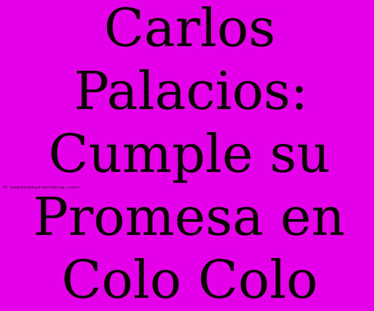 Carlos Palacios: Cumple Su Promesa En Colo Colo