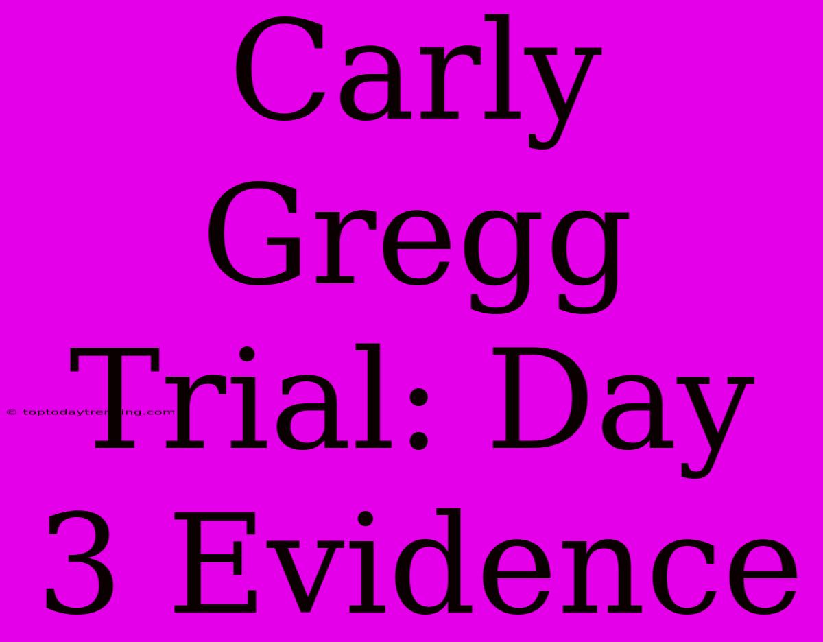 Carly Gregg Trial: Day 3 Evidence