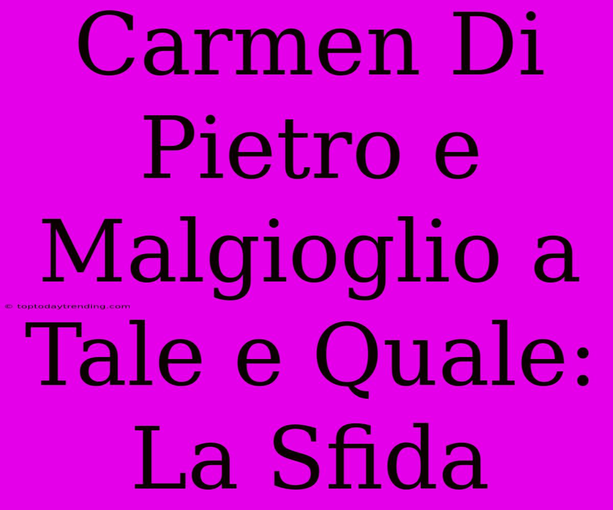 Carmen Di Pietro E Malgioglio A Tale E Quale: La Sfida