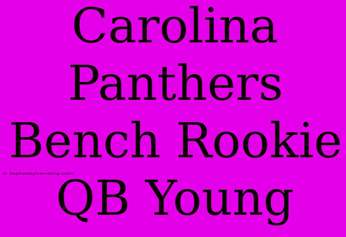 Carolina Panthers Bench Rookie QB Young