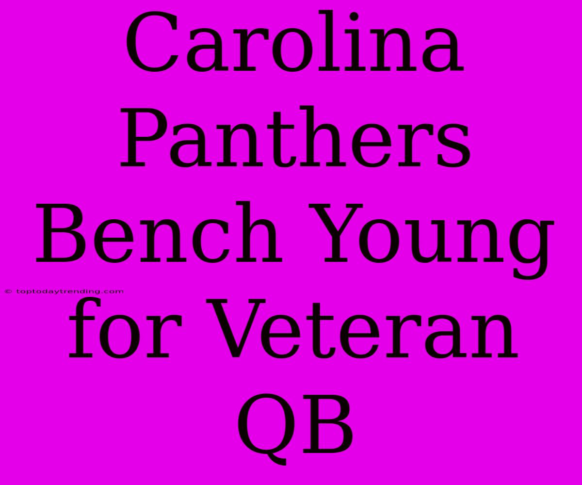 Carolina Panthers Bench Young For Veteran QB