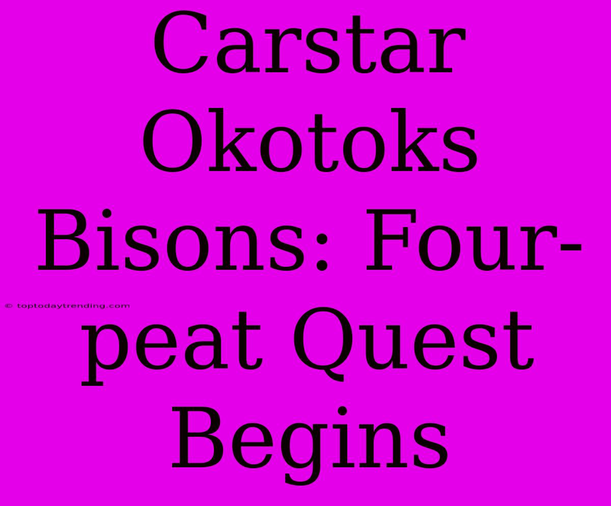 Carstar Okotoks Bisons: Four-peat Quest Begins