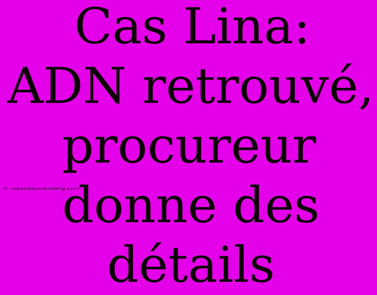 Cas Lina: ADN Retrouvé, Procureur Donne Des Détails