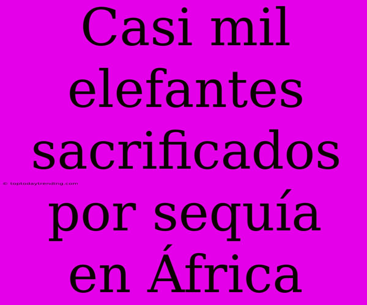 Casi Mil Elefantes Sacrificados Por Sequía En África