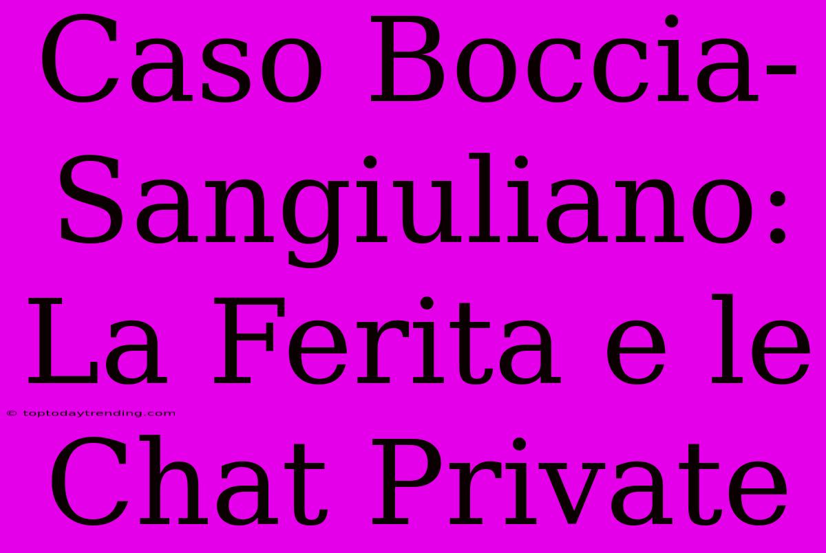 Caso Boccia-Sangiuliano: La Ferita E Le Chat Private