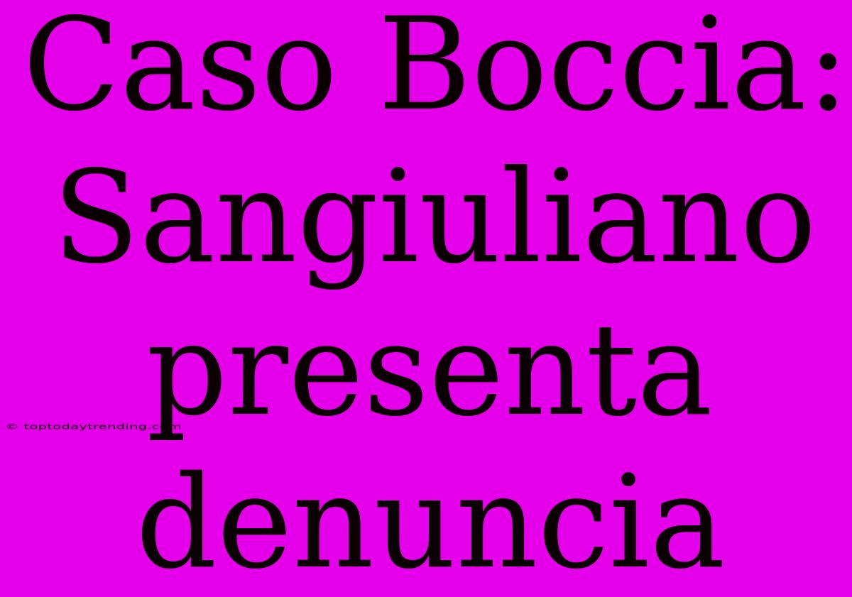 Caso Boccia: Sangiuliano Presenta Denuncia