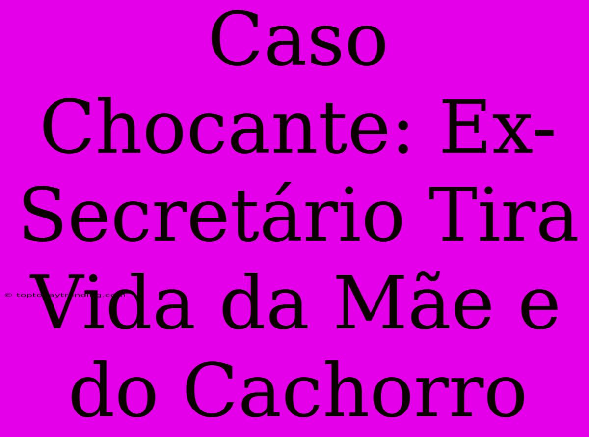 Caso Chocante: Ex-Secretário Tira Vida Da Mãe E Do Cachorro