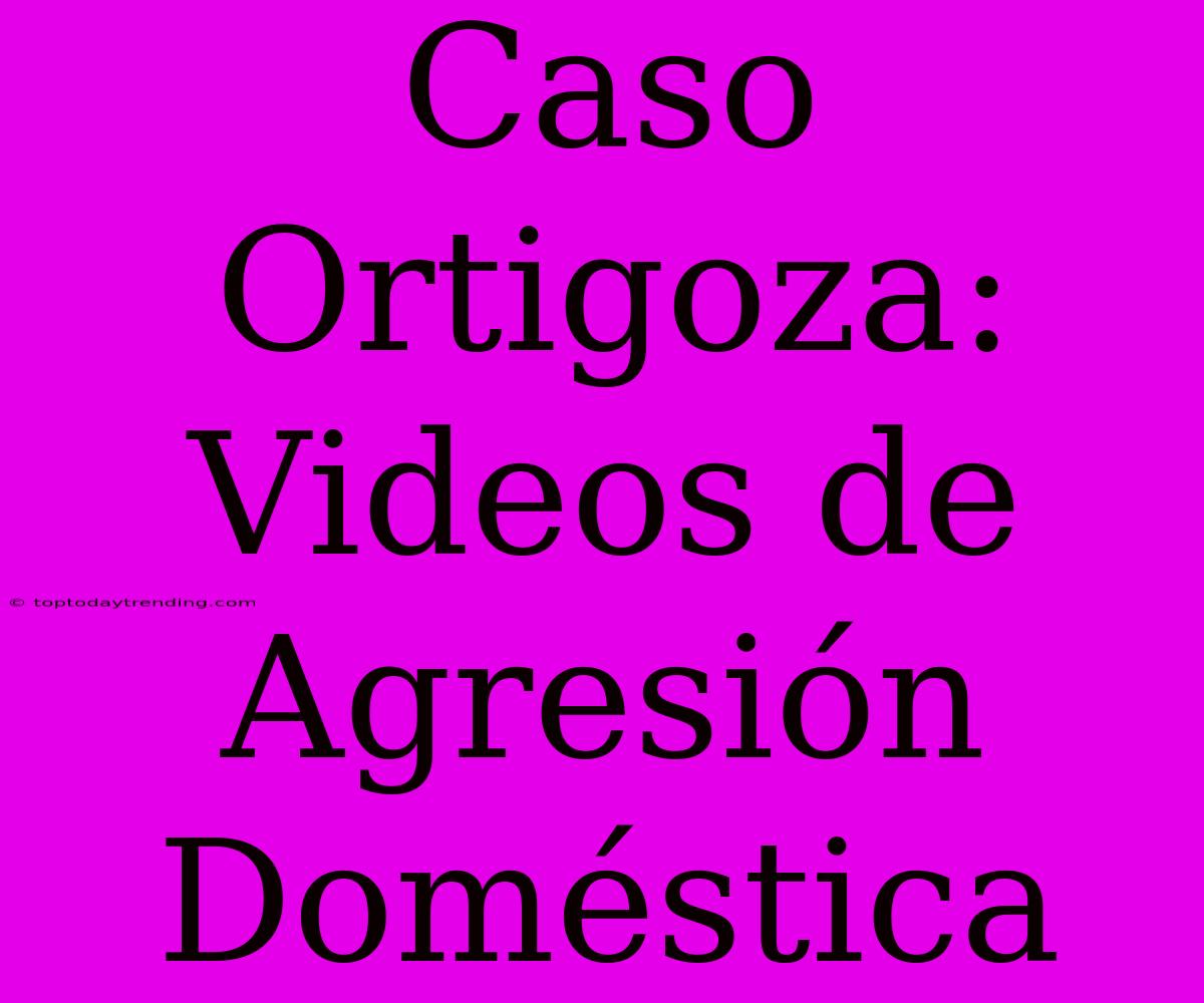 Caso Ortigoza: Videos De Agresión Doméstica