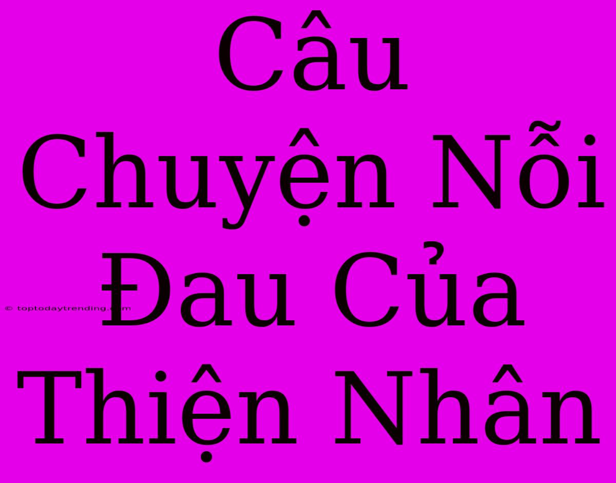 Câu Chuyện Nỗi Đau Của Thiện Nhân