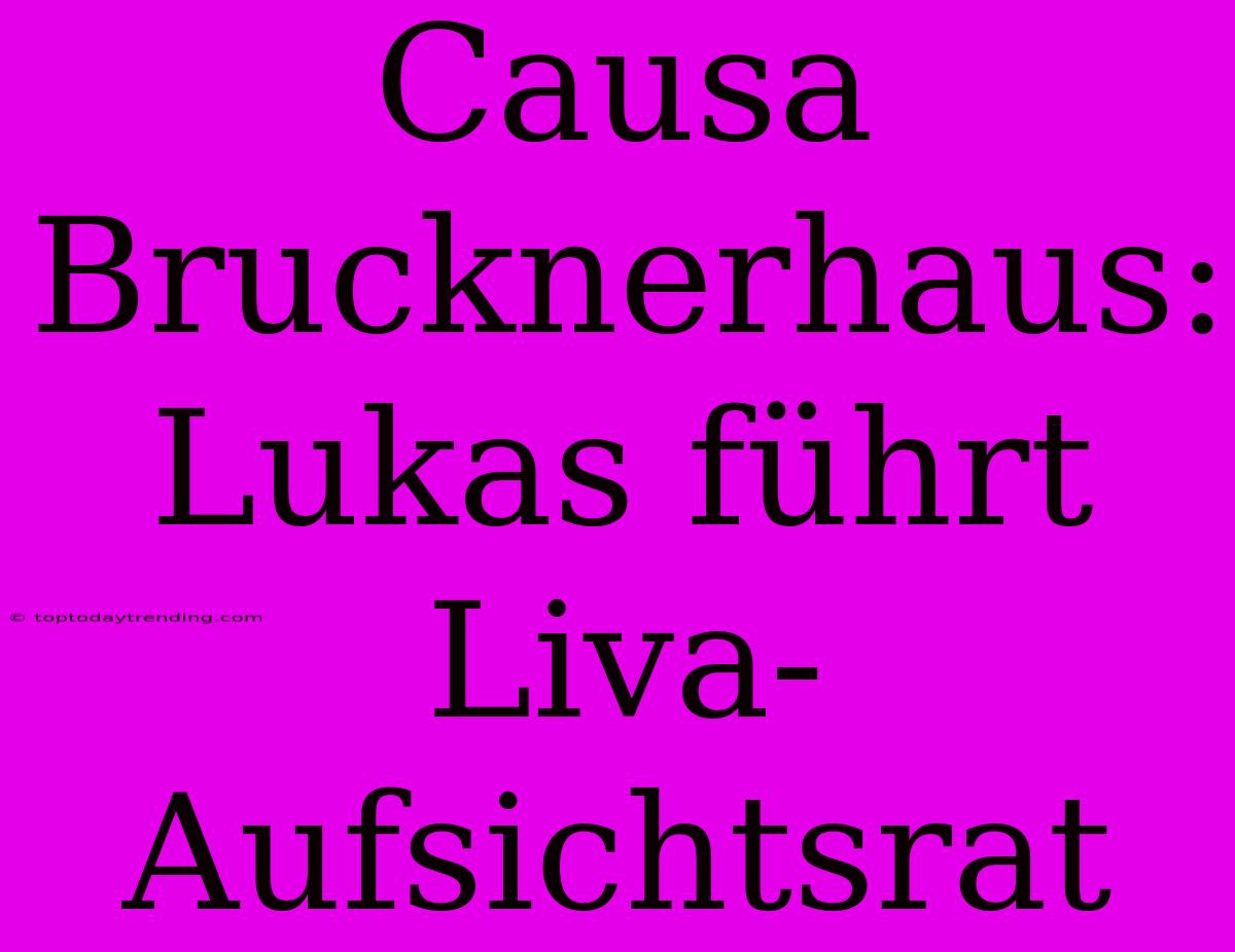 Causa Brucknerhaus: Lukas Führt Liva-Aufsichtsrat