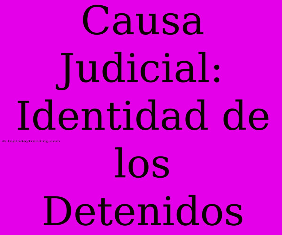 Causa Judicial: Identidad De Los Detenidos