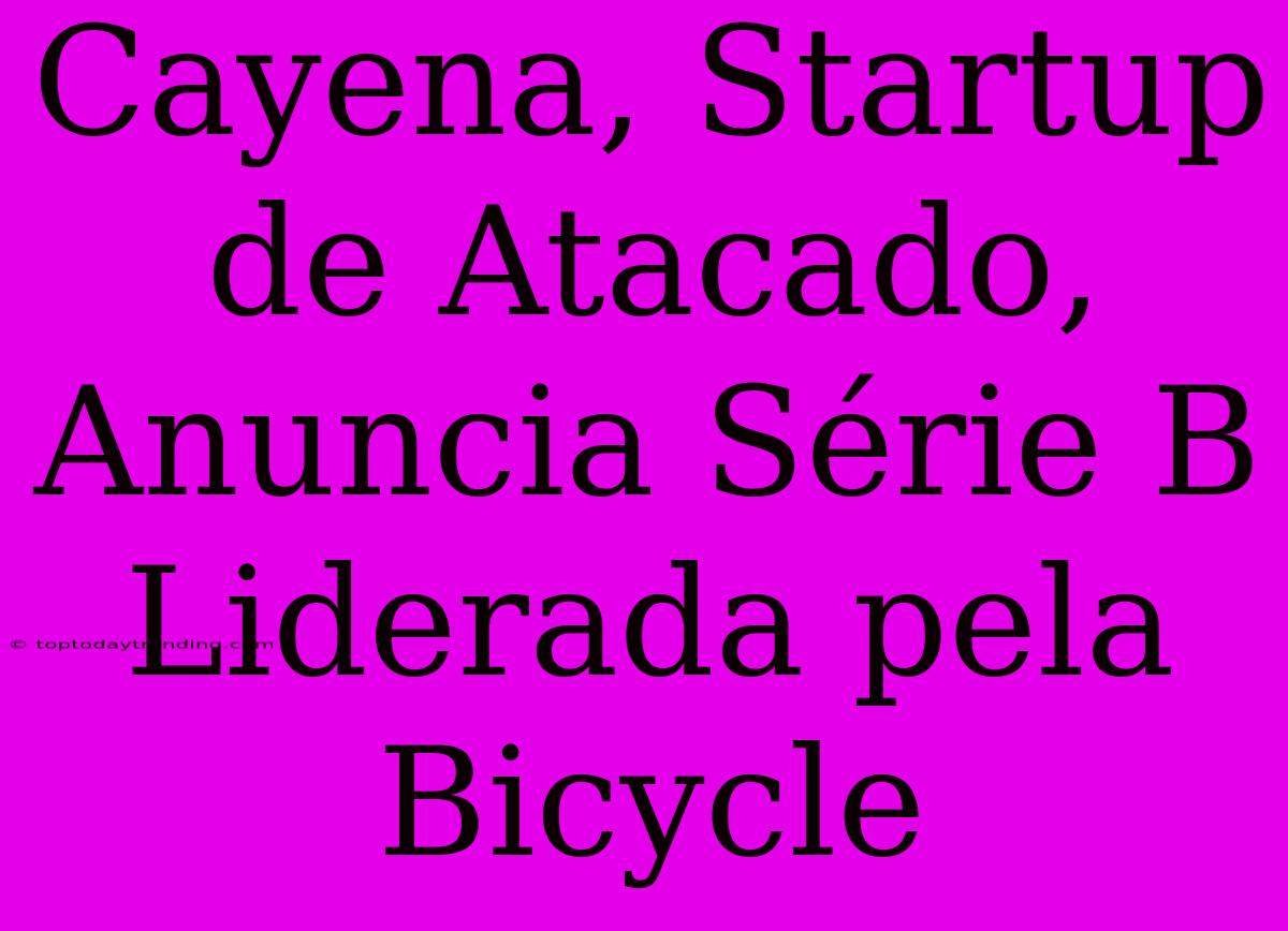 Cayena, Startup De Atacado, Anuncia Série B Liderada Pela Bicycle