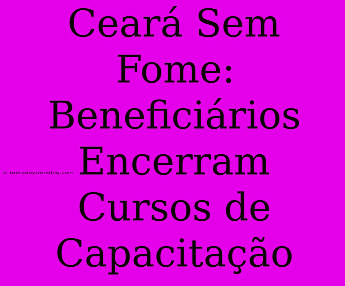 Ceará Sem Fome: Beneficiários Encerram Cursos De Capacitação