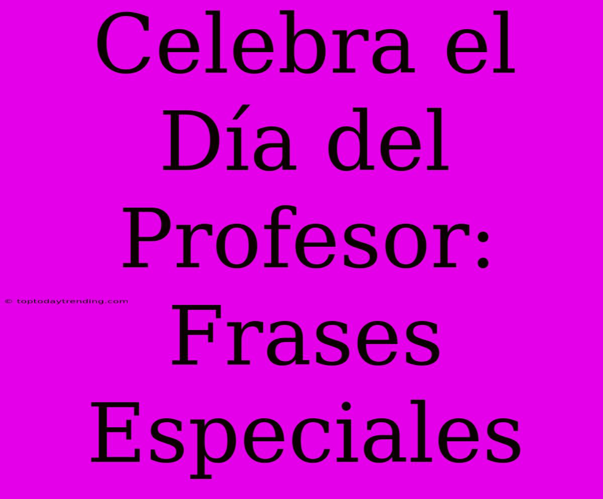 Celebra El Día Del Profesor: Frases Especiales