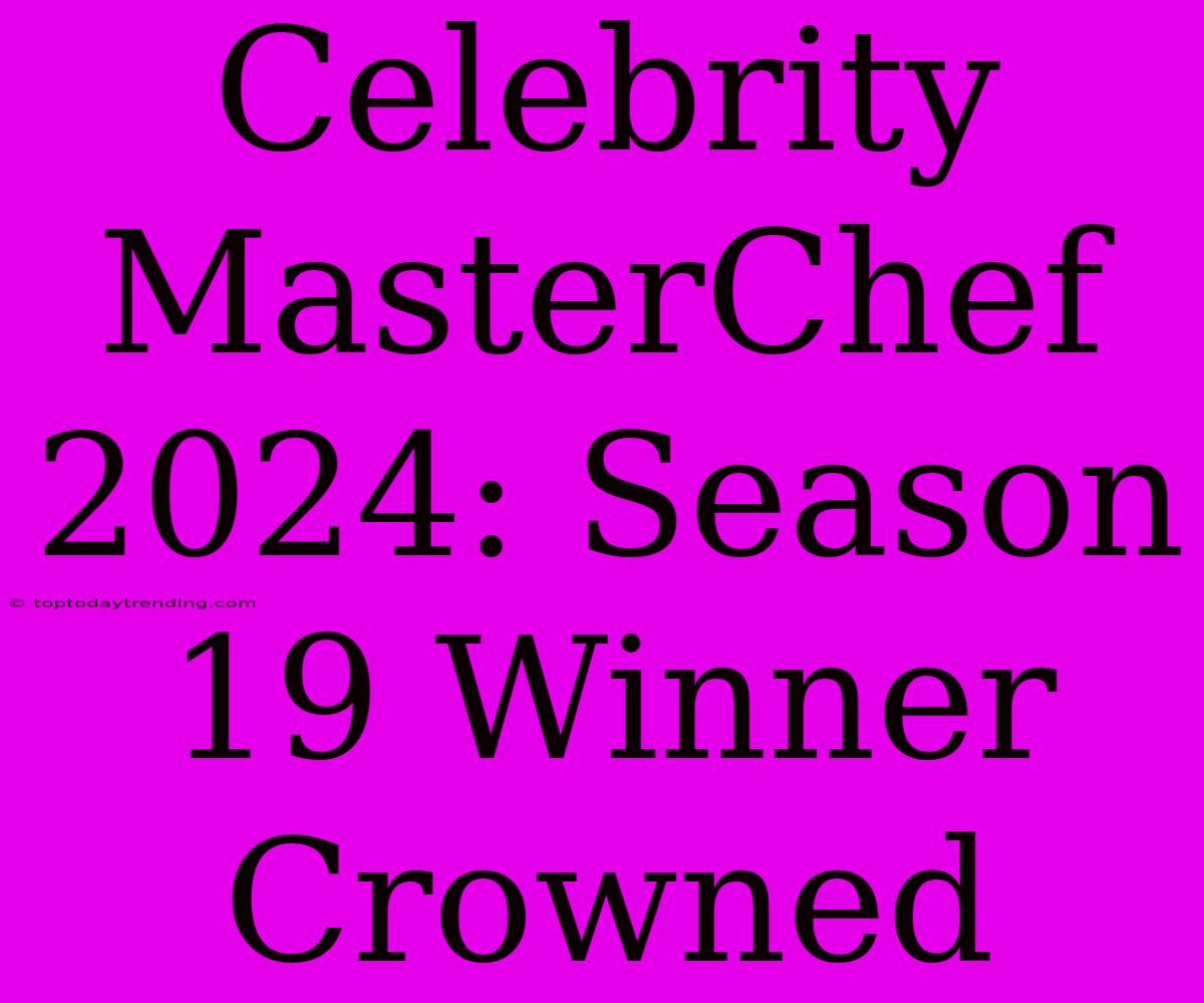 Celebrity MasterChef 2024: Season 19 Winner Crowned