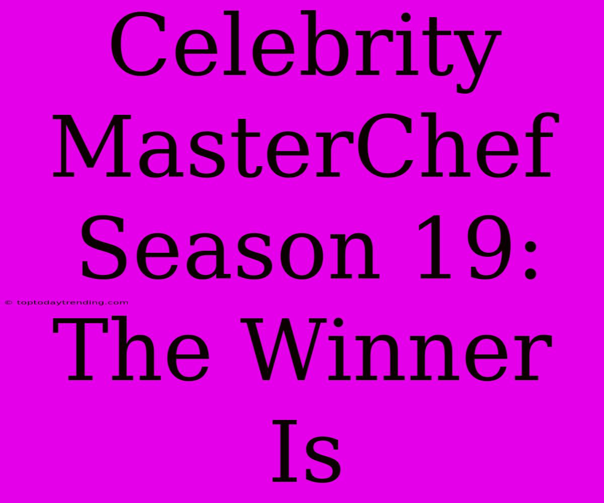 Celebrity MasterChef Season 19: The Winner Is