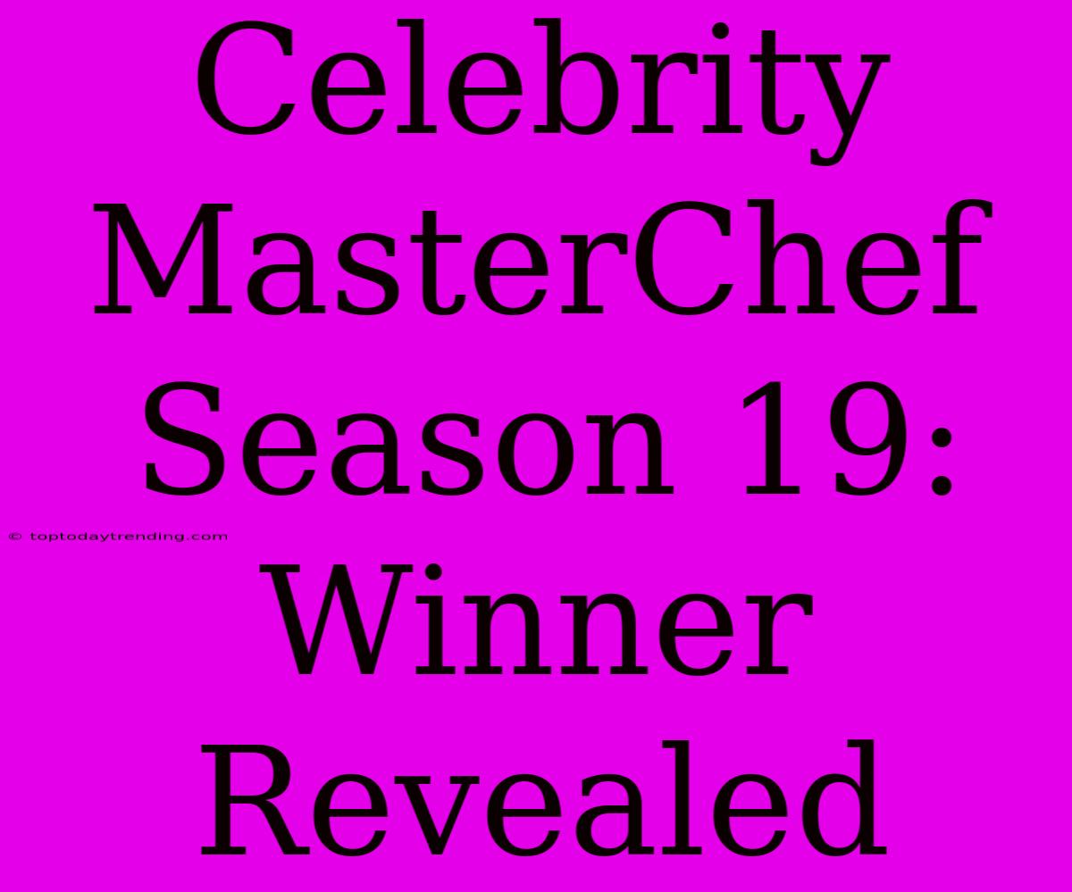 Celebrity MasterChef Season 19: Winner Revealed