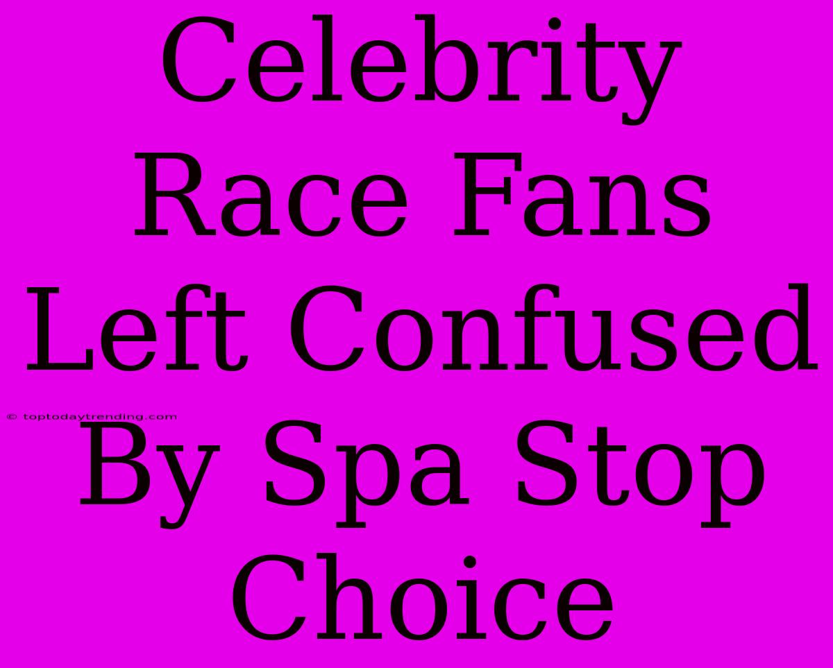 Celebrity Race Fans Left Confused By Spa Stop Choice