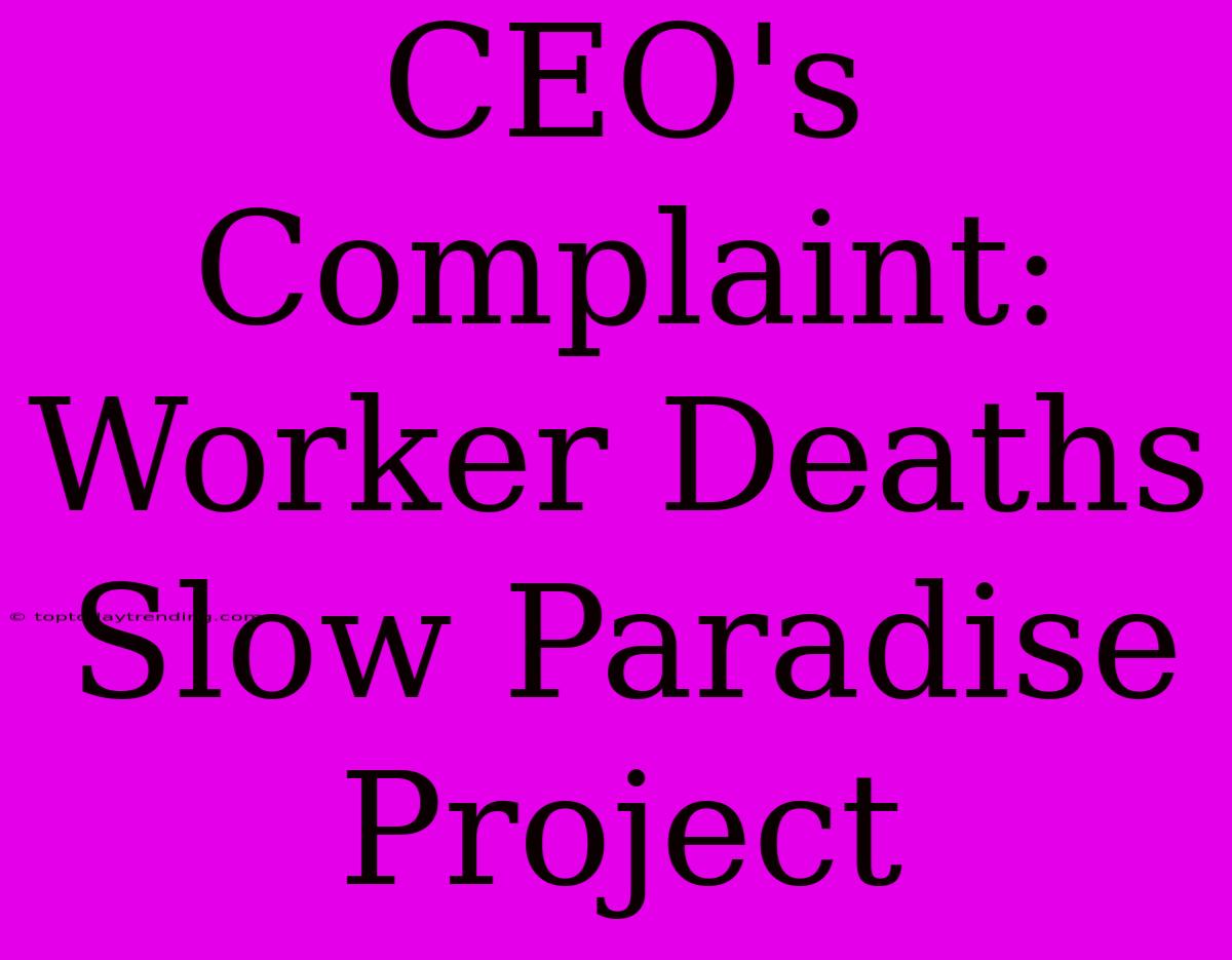 CEO's Complaint: Worker Deaths Slow Paradise Project