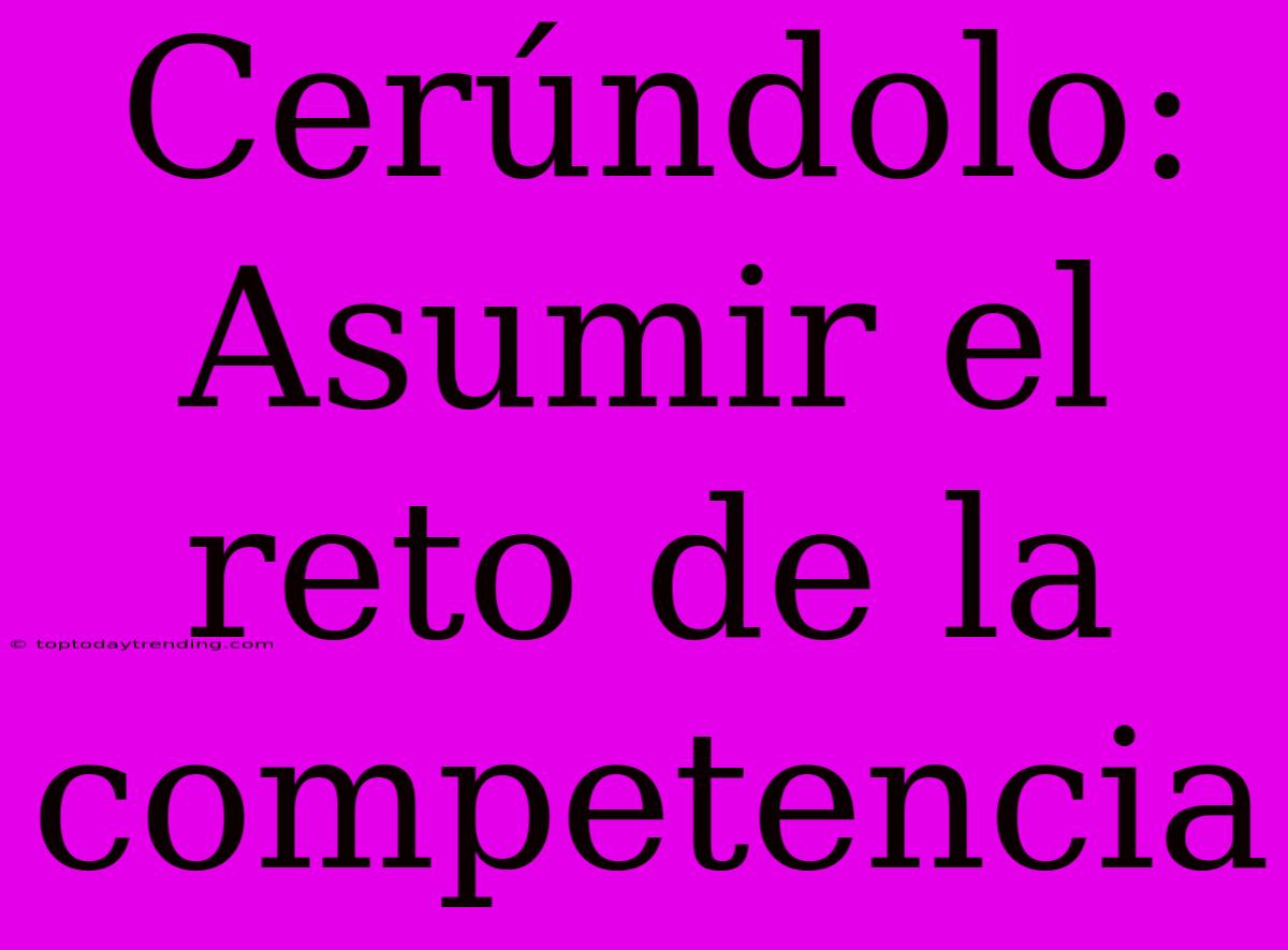 Cerúndolo: Asumir El Reto De La Competencia