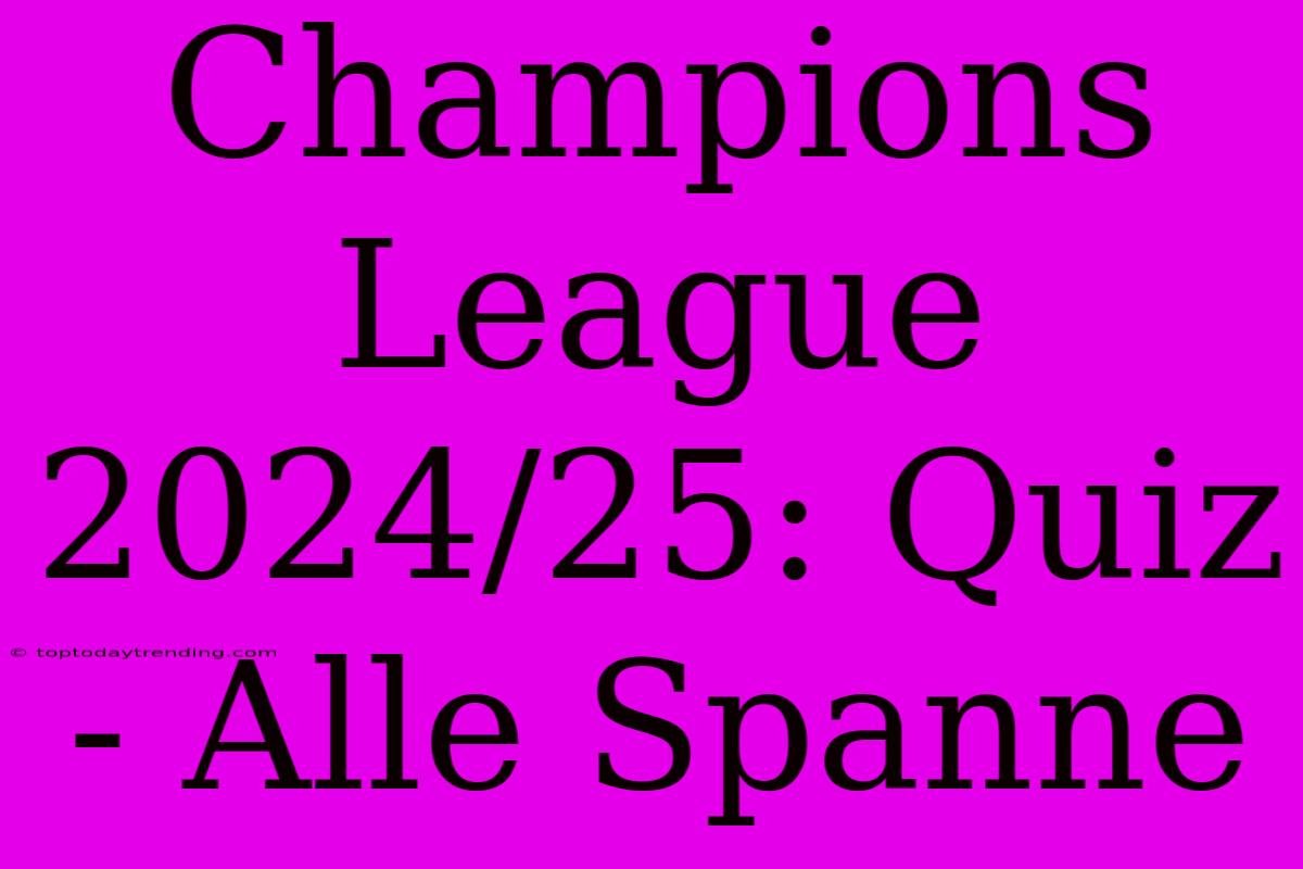 Champions League 2024/25: Quiz - Alle Spanne